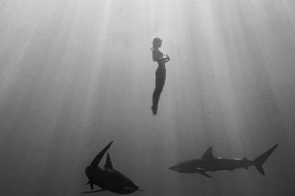 La modelo Marisa Papen, nadando con tiburones.