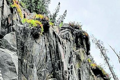 La escalada es una de las actividades que se pueden desarrollar en sus montañas.