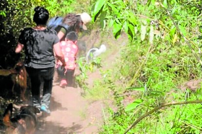 En el sitio es posible hacer caminatas por senderos rodeados de eucaliptos.