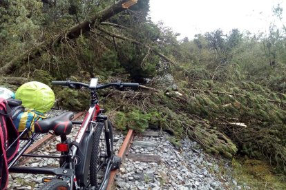 Los obstáculos en la vía han retrasado el recorrido de los viajeros.