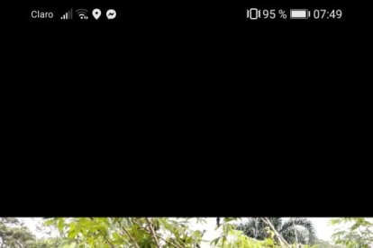 Un canasto es el implemento necesario para la recolección en los huertos.