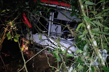 Según un primer informe, el bus habría caído alrededor de 500 metros.