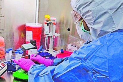Universidades del Ecuador realizan varias investigaciones sobre la afectación molecular del coronavirus.