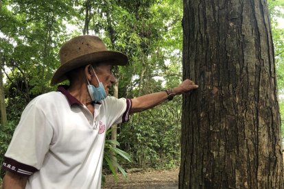 Eugenio Mosquera ha marcado en los árboles la fecha en que los sembró.