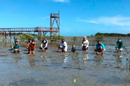 La gente busca un poco de consuelo en la reforestación.