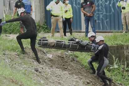 Los restos fueron colocados en una canastilla.