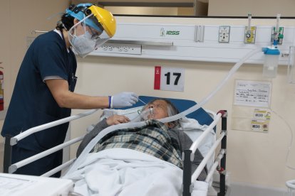 Un médico le realiza una prueba PCR a una adulta mayor internada.