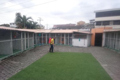 La desinfección del lugar deberá ser a diario.