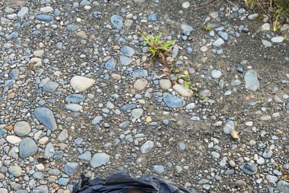 Los policías hallaron clorhidrato de cocaína.