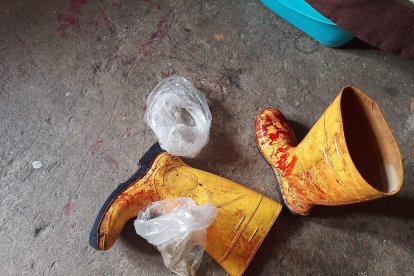 Los trabajadores del lugar no tenían los equipos adecuados para esta actividad.