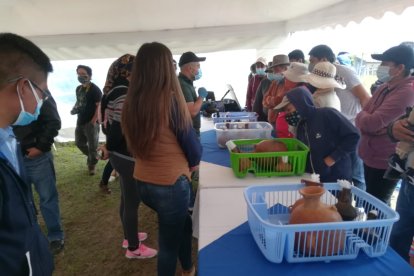 Exponiendo los restos buscan fortalecer el turismo en al parroquia latacungueña.