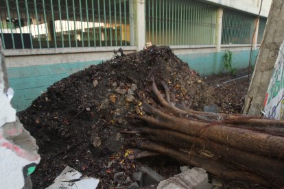 El colapso de la planta coincidió con una lluvia en aquel sector.