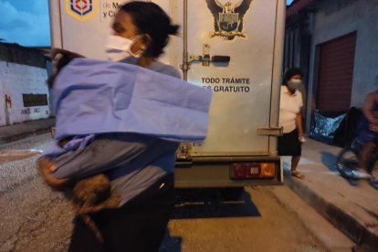 La mascota de la pareja fue el único sobreviviente de la masacre.