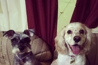 Karen Garófalo aseguró a sus dos perritas.