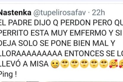 El sacerdote se disculpó y aseguró que su mascota estaba enferma.