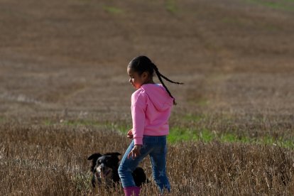 Los perros ayudan a que los chicos entren en movimiento.