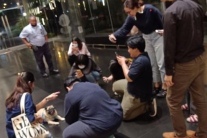 La perrita es toda una celebridad en su tierra.