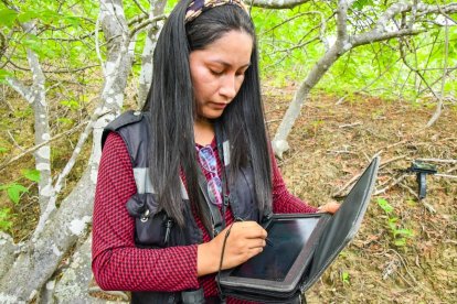 Técnicos realizan la inspección de los árboles en las zonas protegidas.