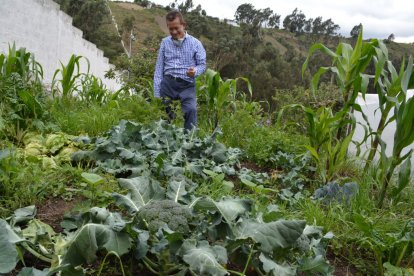También cuentan con un espacio donde cultivan hortalizas y otros vegetales.