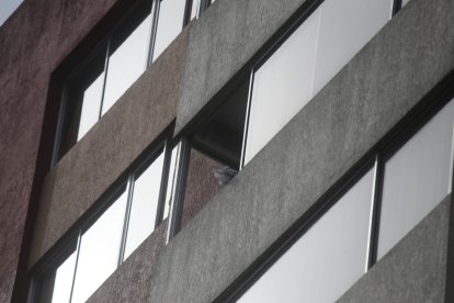 Esta sería la ventana desde donde se precipitó el hombre.
