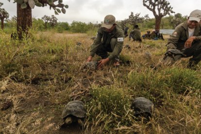 El trabajo en favor del patrimonio natural está a cargo de estos guardianes de la conservación.