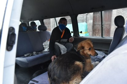 Unas personas aceptaron ir con los funcionarios siempre y cuando les reciban con sus perritos.