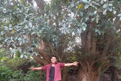 El joven era novio de la procesada, indicaron en la audiencia.