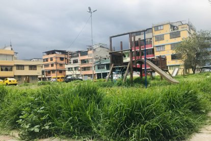 La maleza llega hasta la rodilla.