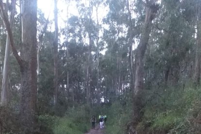 Los agentes llegaron y cercaron el sitio para realizar las investigaciones.