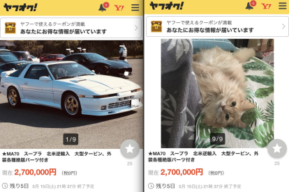 El dueño de la gata subió la historia a la las redes sociales de subastas de Yahoo.