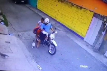 Instante en que los animales son dejados a su suerte.