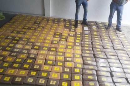 Los paquetes encontrados en matorrales y luego ordenados por la Policía .