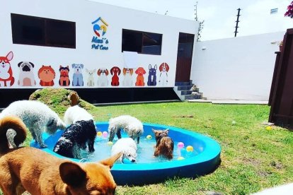 Los cumpleaños siempre terminan con un buen 'piscinazo'.