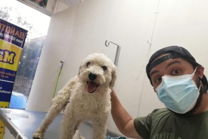 Daniel Zárate lo encontró en la puerta de su casa. Su hija le dio nombre a Algodoncito.