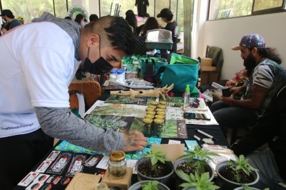 En Ambato se realizó una feria en la que se ofertaron semillas, plantas y charlas sobre sus beneficios.