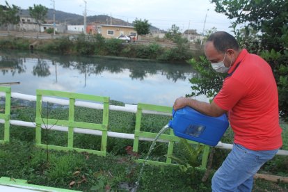 Fabián puso plantas frente a su casa para no tener que ver el sucio canal.