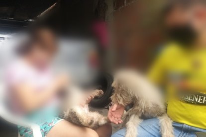 Hasta ayer la menor estuvo al cuidado de su padre, fue llevada a una casa de acogida.