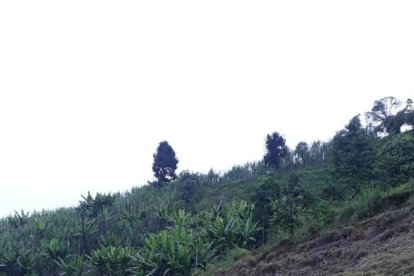 Los amantes de la aventura tienen opciones para acampar al aire libre.