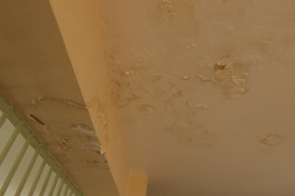 Por las filtraciones, la pintura se descascara y suelta partículas de polvo o las paredes se cubren de moho.