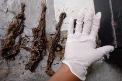 Restos de trapo, correas y plástico se hallaron en el interior de Drago.