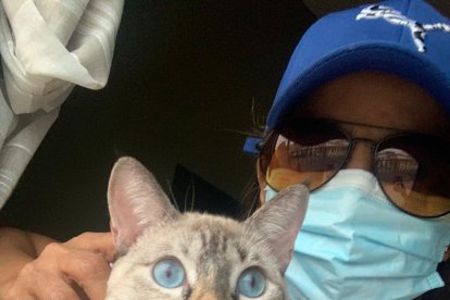 La dueña de Lucy afirma que su gatita se restableció con dióxido de cloro.
