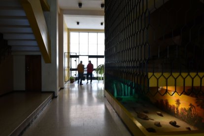 En los pasillos suelen escuchar que caen canicas.