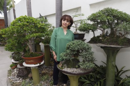 Elizabeth Roca de Peñafiel tiene unos 200 arbolitos en su jardín. Ella preside actualmente el club más antiguo del bonsai en Guayaquil