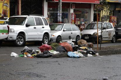 La acumulación de basura en los parterres y desperdicios en las calles es otro problema que enfrenta el sector.