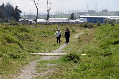 Los vecinos deben cruzar por unos matorrales para llegar a la vía principal.