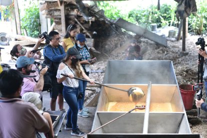 En Pacto se puede ser parte de la preparación de la panela y otros derivados de la caña.