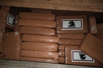 Los paquetes tipo ladrillo venían con distintivos que colocan los narcotraficantes para los destinatarios.