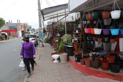 Cuando uno camina por las calles puede ver las variedades de plantas que venden.