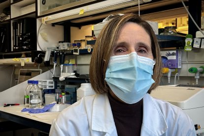 La investigadora Isabel Sola, codirectora del laboratorio de coronavirus del Centro Nacional de Biotecnología del CSIC