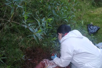 La víctima estaba con vida cuando la paramédico lo atendió.